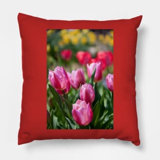 Tulips in my garden Pillow