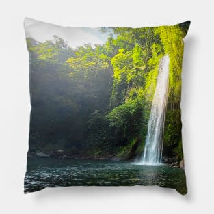 Falls in the Paradise Pillow