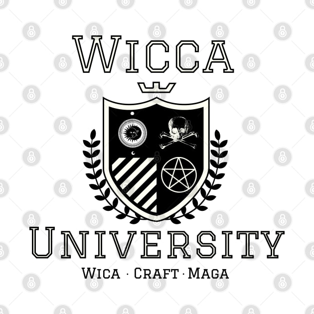 Wicca University sweatshirt, Dark Aesthetic, Goth clothing, plus size wicca art, custom top, Alt clothing, Witch sweatshirt, witch fashion by AYar