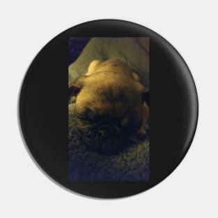 Sleepy pug Pin