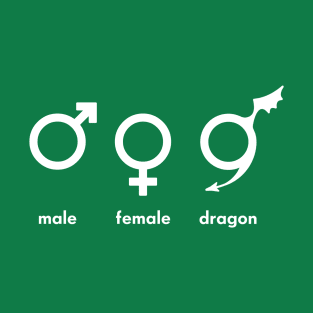 male female dragon T-Shirt