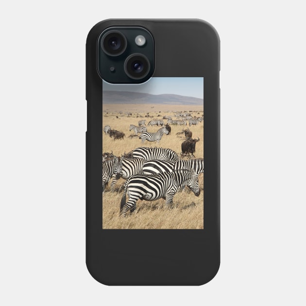 Zebra Migration, and Wildebeest, Maasai Mara, Kenya Phone Case by Carole-Anne