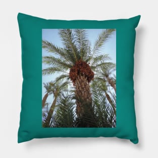 Date Palm Pillow