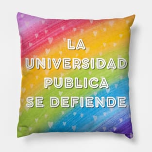 Public University Pillow