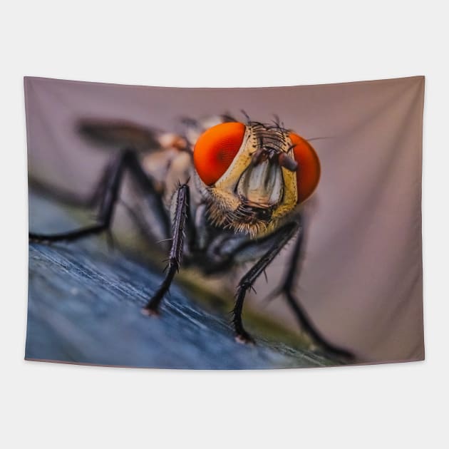 Flesh Fly Macro Insect Photograph Tapestry by love-fi