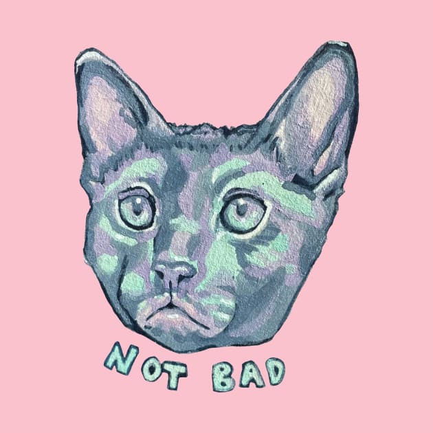 Not Bad Cat by RaLiz