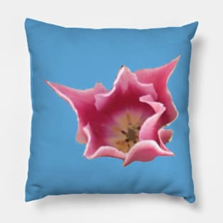 Spiky Tulip Pillow