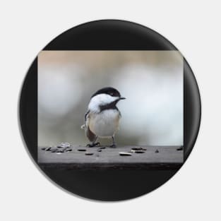 Chickadee Pin