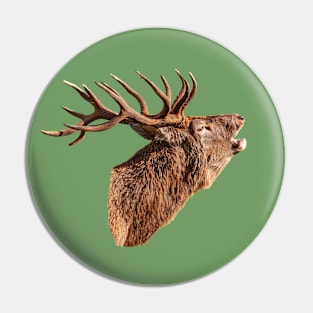 Red Deer Head in colour Pin