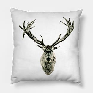 The Stag Pillow