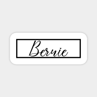 Bernie Magnet