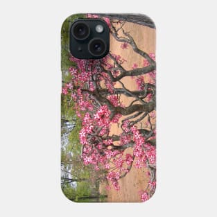 Impala Lily, Kruger National Park, South Africa Phone Case