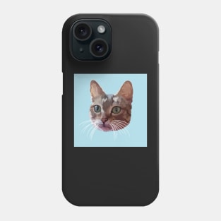 Cat 18 Phone Case