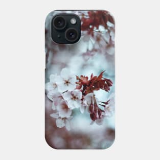 Fleurs du printemps Phone Case