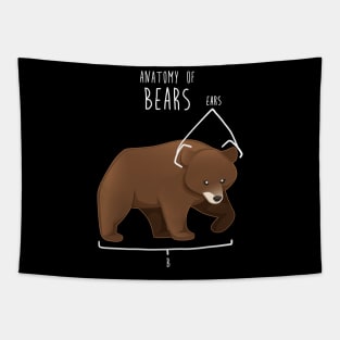 Bear Animal Anatomy Tapestry