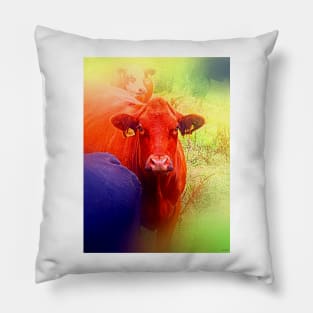 Cows Pillow