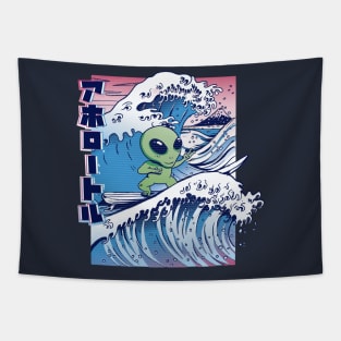 Surfing Alien Tapestry