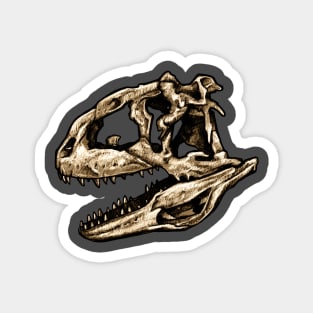 Dinosaur Skull Majungasaurus Sticker Magnet