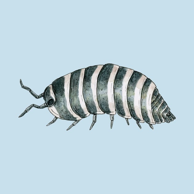 Armadillidium maculatum- Zebra Isopod by paintedpansy