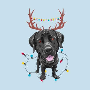 Labrador Retriever with Reindeer Ears and Christmas Lights T-Shirt