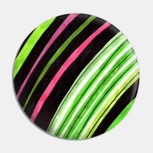 Pink And Green Rainbow Pin