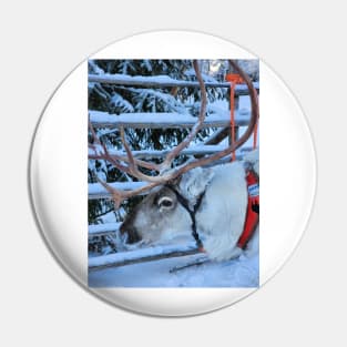 Lapland Pin