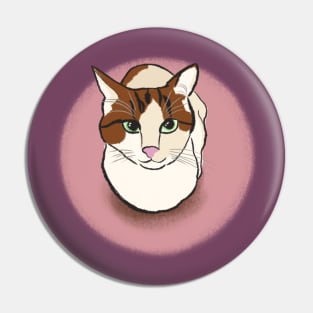 Soya the cat - friendly Pin