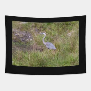 A lone Great Blue Heron Tapestry