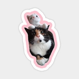 The Cat Stack - a cat with a plush cat stacked on top of it Magnet
