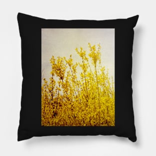 Sun Kissed Yellow Flowers Pillow