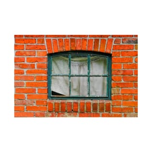 Old window in brick wall T-Shirt