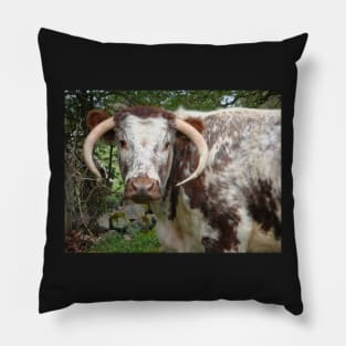 How Now Brown Cow Pillow