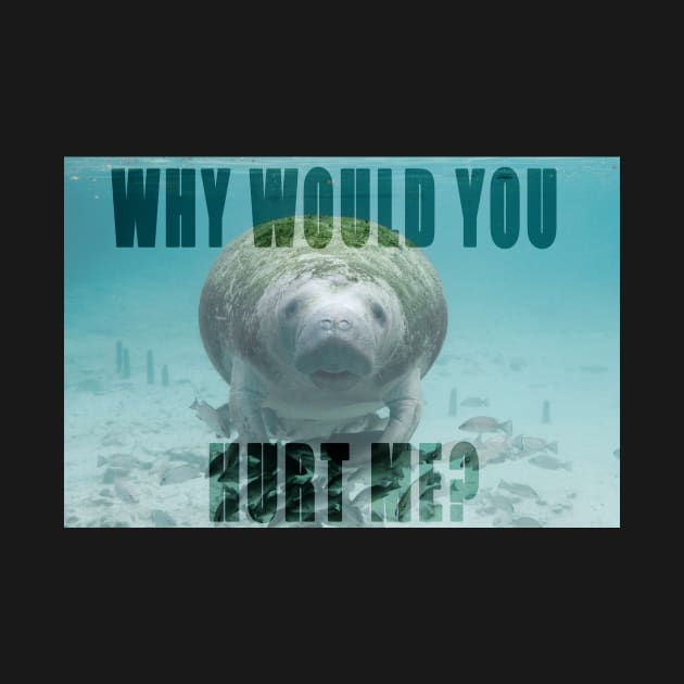 Save Manatees by Dself