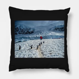 Walking with penguins in Antarctica Pillow