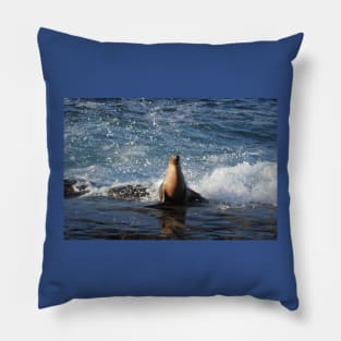 California Sea Lion, Marine Life, Wildlife, Nature Pillow