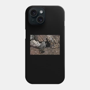 Burrowing Owl Phone Case