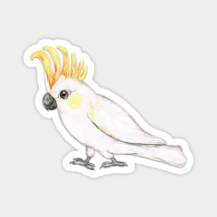 Sulphur crested cockatoo Magnet