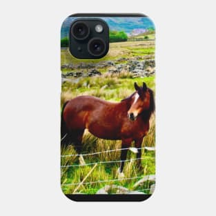 A horse stands in a field in the Welsh mountains Phone Case