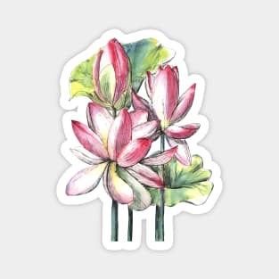 Lotus Flowers Watercolor Painting Magnet