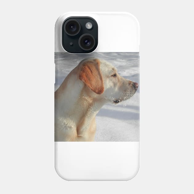 Labrador Retriever Yellow fourth Phone Case by Wanderingangel