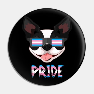 Boston Terriers Transgender Flag Lgbt Pin