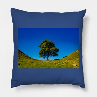 Sycamore Gap, in Memoriam Pillow