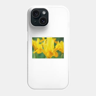 Iris  'Royal Yellow'  Dutch iris Phone Case