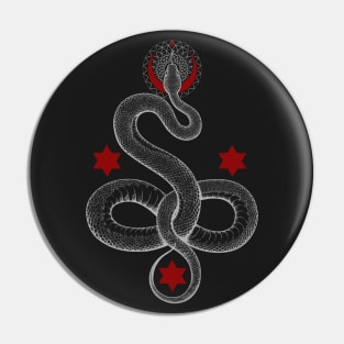 SERPENTINE Pin