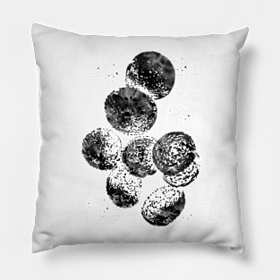 Staphylococcus aureus Pillow