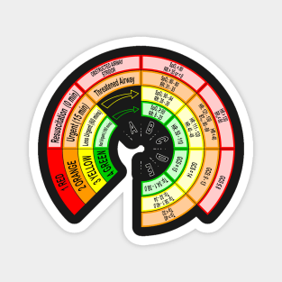 Triage Nurse Vital Signs Card for OR, ED, ICU and ER Nurses Magnet