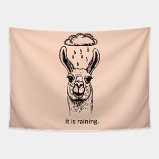 It is raining Tapestry