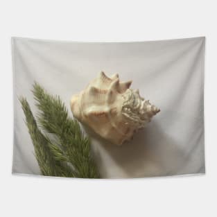 shell Tapestry