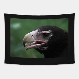 Wedge-Tailed Eagle Portrait Tapestry