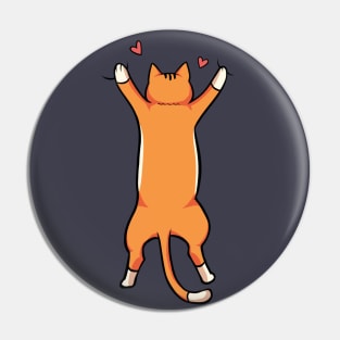 Hanging Cat Pin